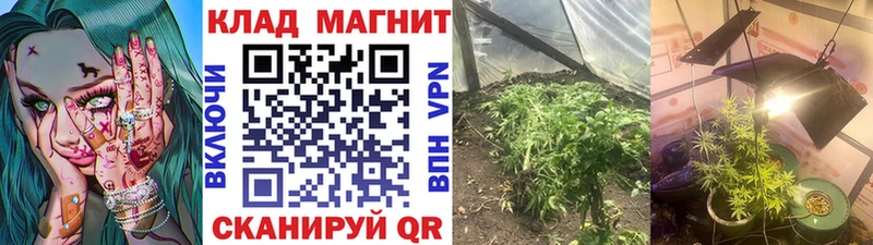 Наркошоп купить Марихуана  АМФЕТАМИН  МЕТАМФЕТАМИН  ГАШИШ  Меф мяу мяу  Кокаин  Лагань