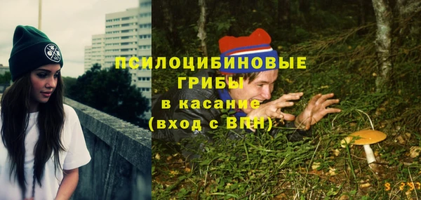 шишки Балахна
