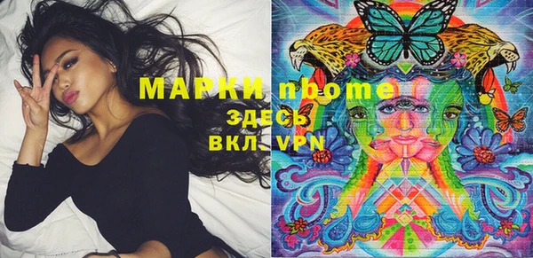 шишки Балахна