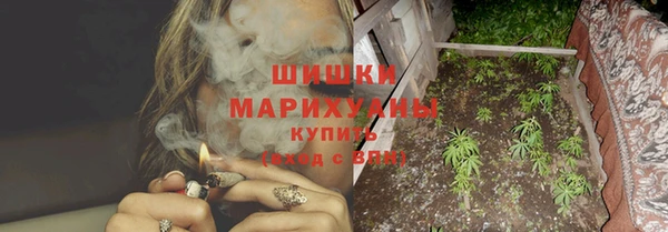 шишки Балахна