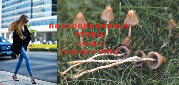 мет Баксан