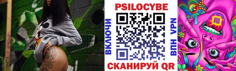Псилоцибиновые грибы Psilocybine cubensis  Купить где  Лагань 
